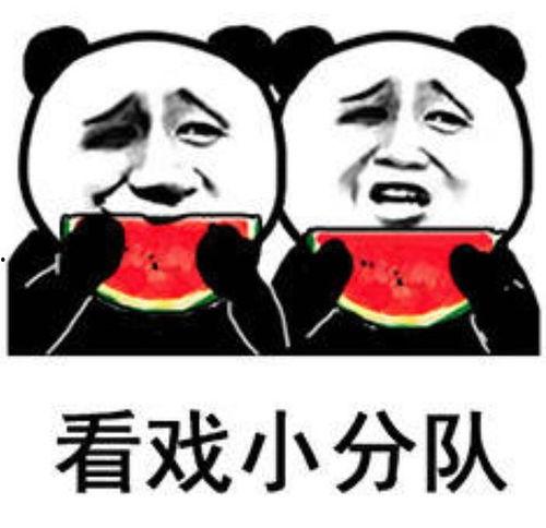 娱乐吃瓜群头像图片